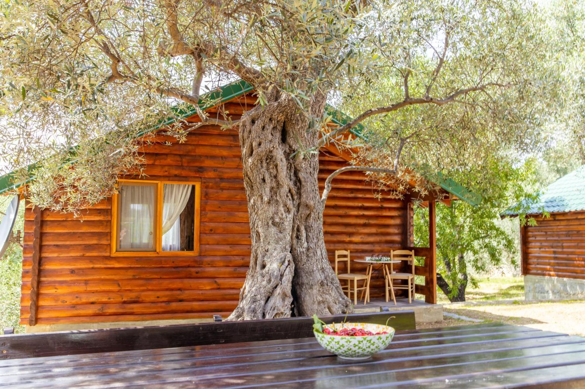 Katana Village Apartment Ulcinj Bagian luar foto